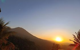 Dwan Tea Mountain Side